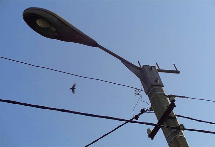 В Мелитополе из-за аварии отключили уличное освещение