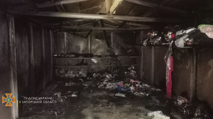 В Запорожье вместе с гаражом дотла сгорела иномарка (фото)