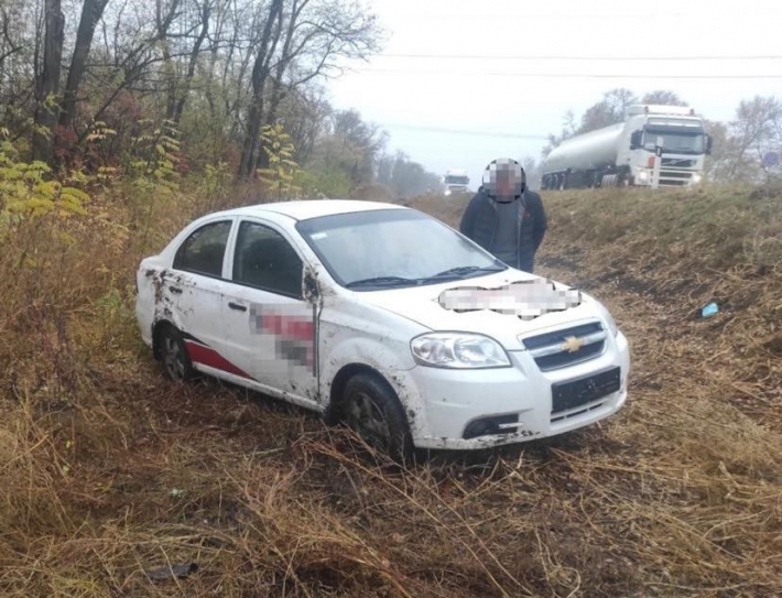 В Запорожской области пьяный водитель на иномарке вылетел в кювет (ФОТО)