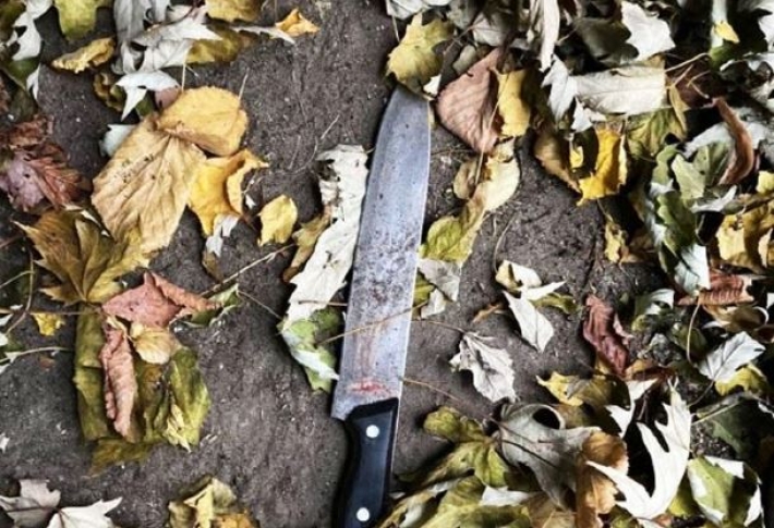 Резня в Киеве: парень исполосовал ножом тетку и двоюродного брата