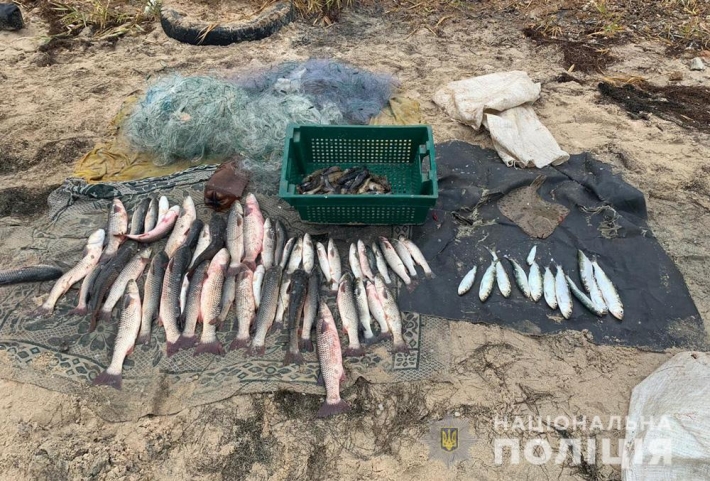 В Бердянске задержали браконьеров с уловом на 200 тысяч гривен (фото)
