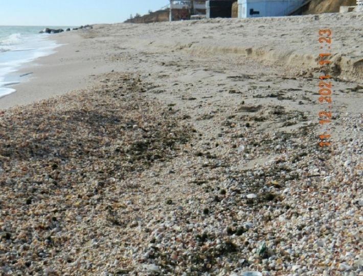Ученые рассказали, что за таинственные шары вынесло на берег в Кирилловке (фото)