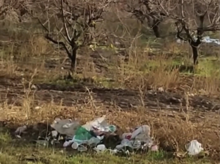 В Мелитополе торговцы превратили сады Филибера в мусорную свалку (видео)