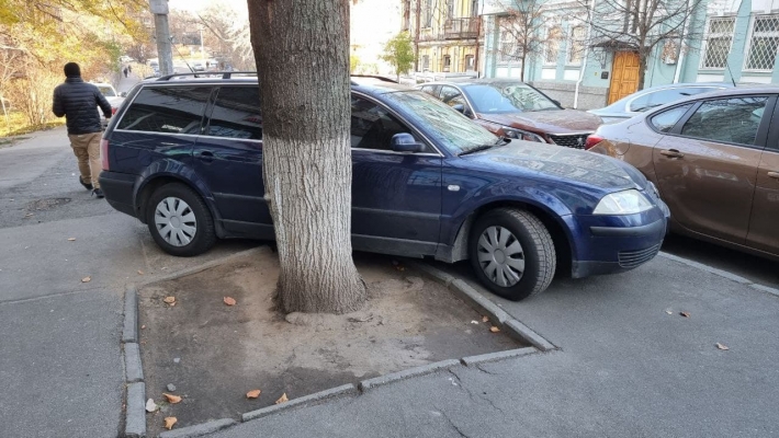 Еще бы дерево убрать: в Киеве герой парковки отметился хамской выходкой, фото