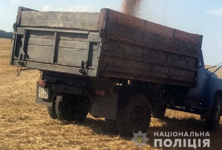 В Мелитополе украли урожая кориандра, гороха и пшена на 3 млн грн.