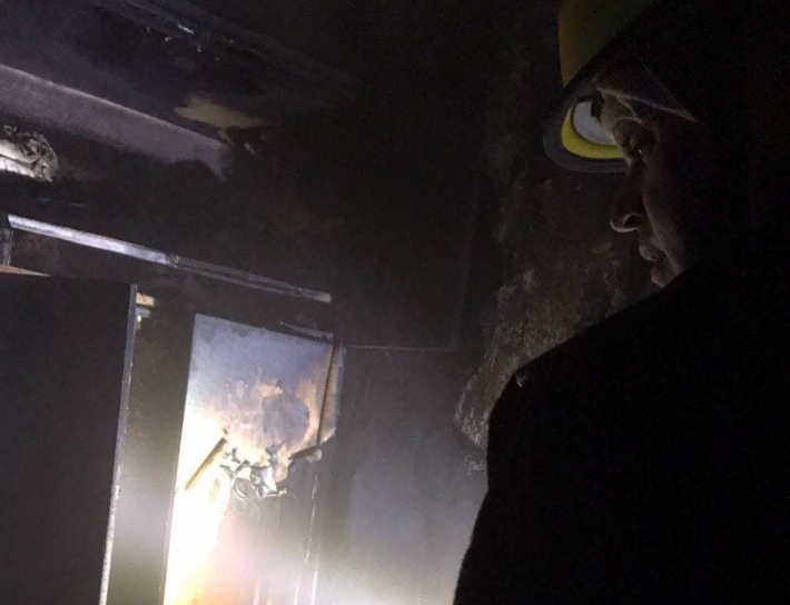 Под Мелитополем во время пожара пострадала женщина (фото)