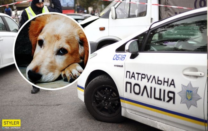 В Кременчуге живодер разбросал по улице шкурки мертвых собак (фото 18+)