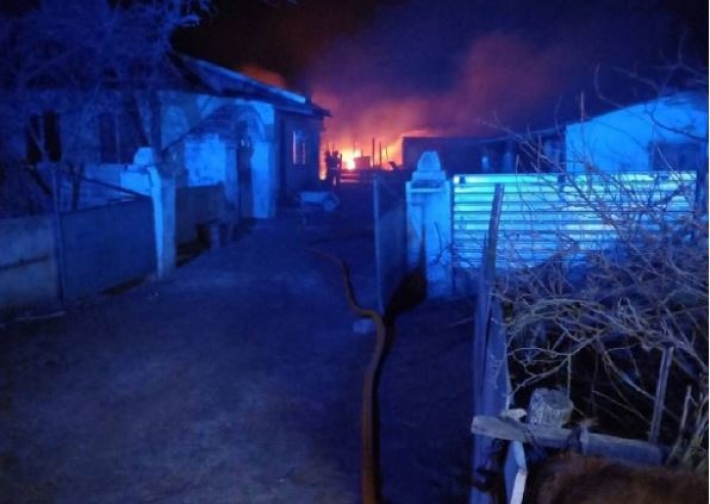 Под Одессой сгорел овечий загон: в огне погибло более 160 животных
