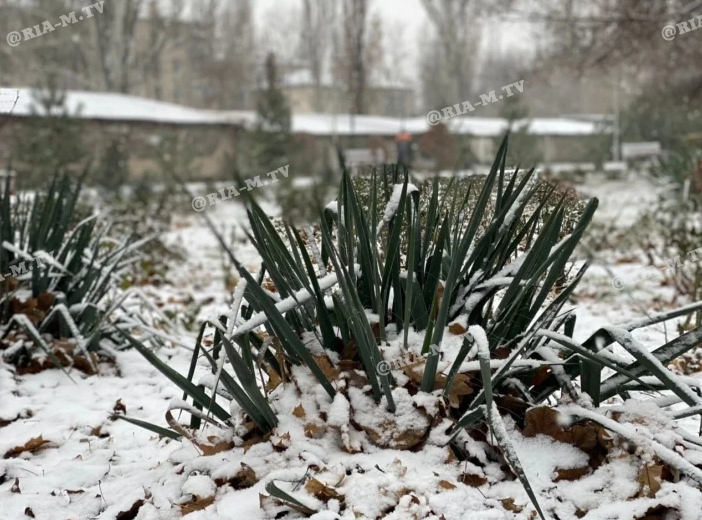 Ждать ли жителям Мелитополя снег - какой погода сегодня будет