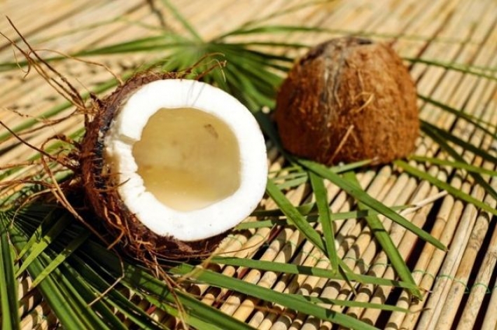 Стало известно, чем полезен и вреден кокос для организма человека