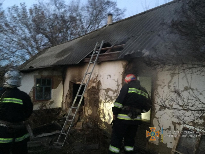 В Запорожской области во время пожара погибли двое мужчин (фото)