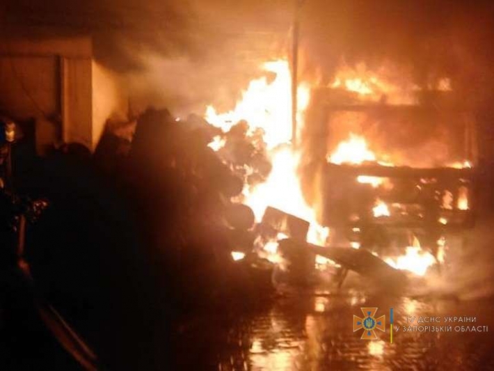 В Мелитополе дотла сгорел грузовик "Мерседес" (фото)