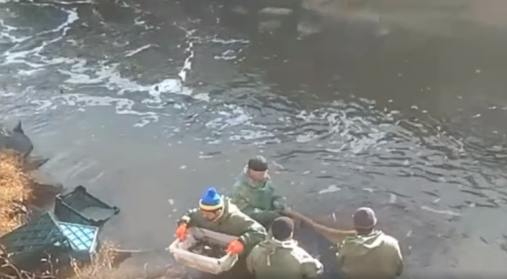 В Мелитопольском районе предотвратили диверсию с гибелью пеленгаса - видео спасательной операции
