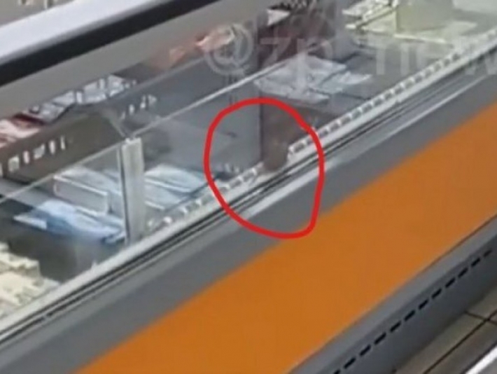 В Запорожье сняли мышь в супермаркете, которая совершала забеги в холодильнике (видео)