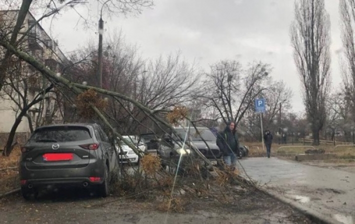 В Харькове ураган повредил авто и повалил деревья (видео)