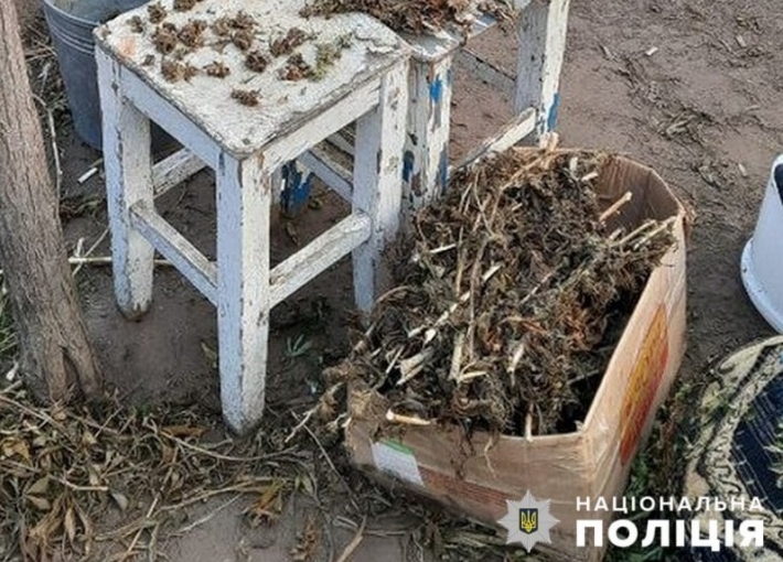 Под Мелитополем полиция нашла схроны с коноплей (фото)