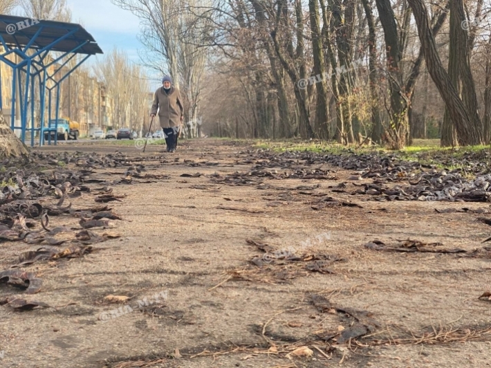 В Мелитополе в центре города тротуар, как после бомбежки (видео)