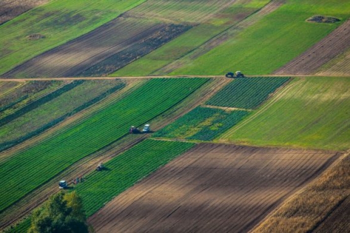 Налог на огород: украинцы заплатят налог за землю, на которой выращивают продукцию для личного потребления