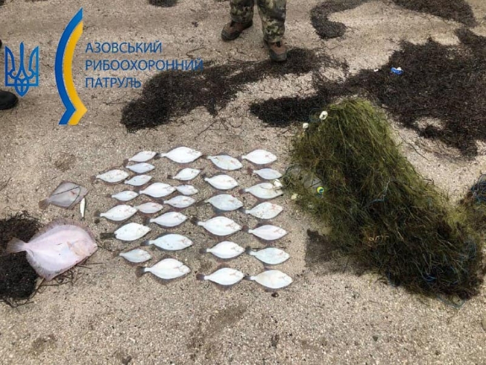 В Мелитопольском районе браконьеры наловили рыбы на 170 тысяч гривен (фото)