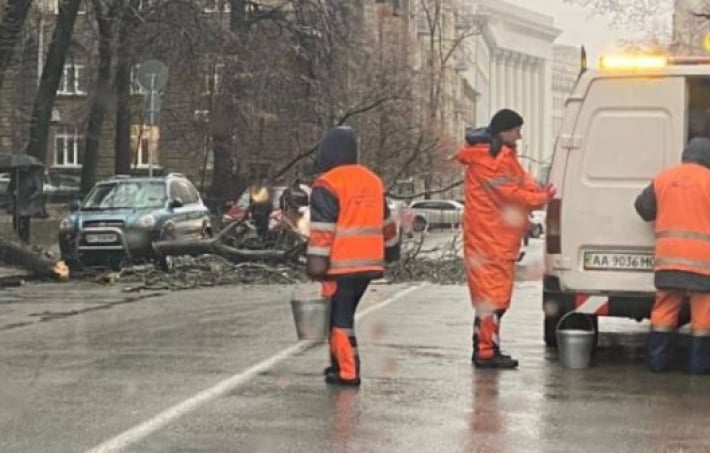 В Киеве деревья массово падают на машины: фото