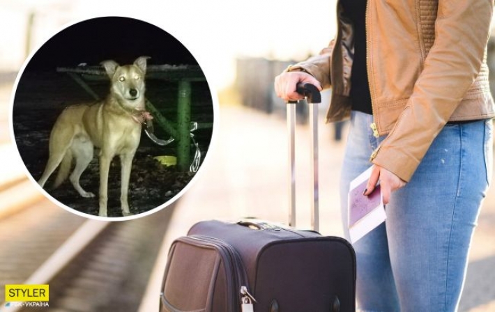 В Киеве женщина бросила свою собаку в парке и уехала на заработки: возле животного была записка
