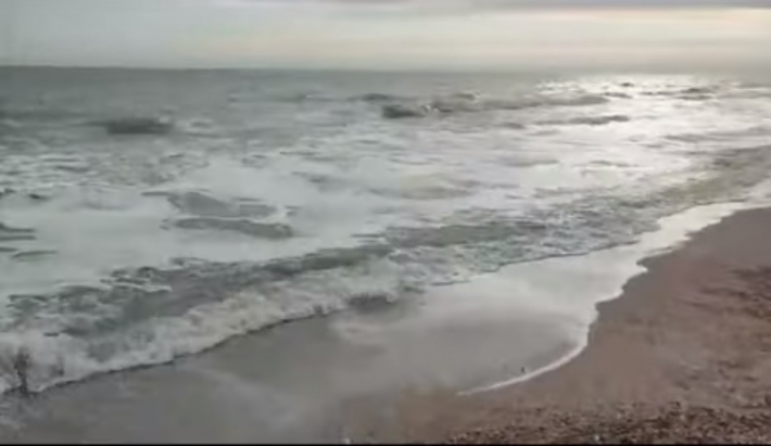 В Кирилловке в декабре море очистилось от медуз и блох (видео)