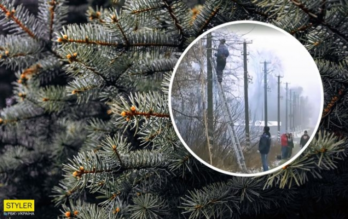 Под Житомиром новогодняя елка лишила света два села и чуть не убила отца 12 детей (видео)