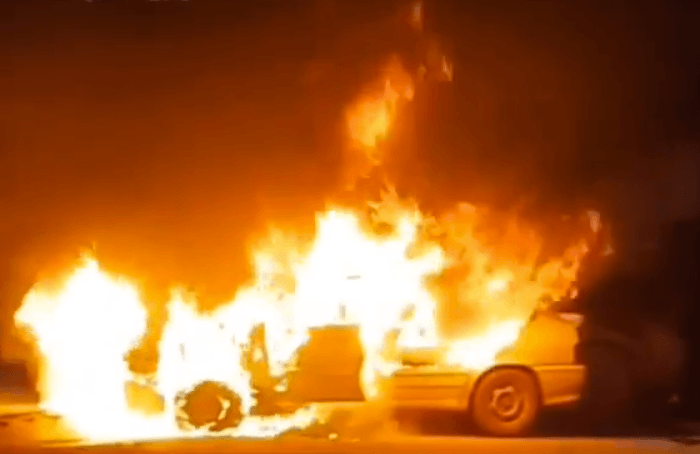Под Мелитополем шокирующее ДТП - Тойота сгорела в кювете (видео)