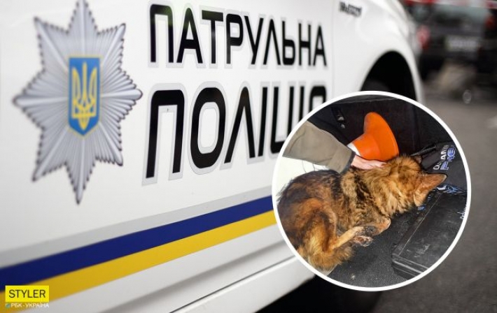 Украинские полицейские спасли собаку: какой поступок помог животному (фото)