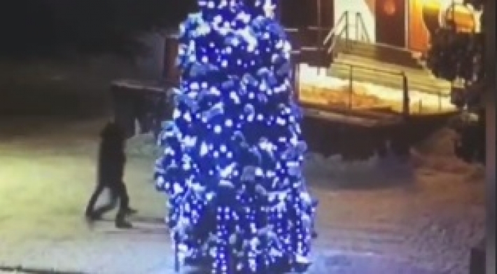 В Запорожской области украли иллюминацию с центральной елки (видео)
