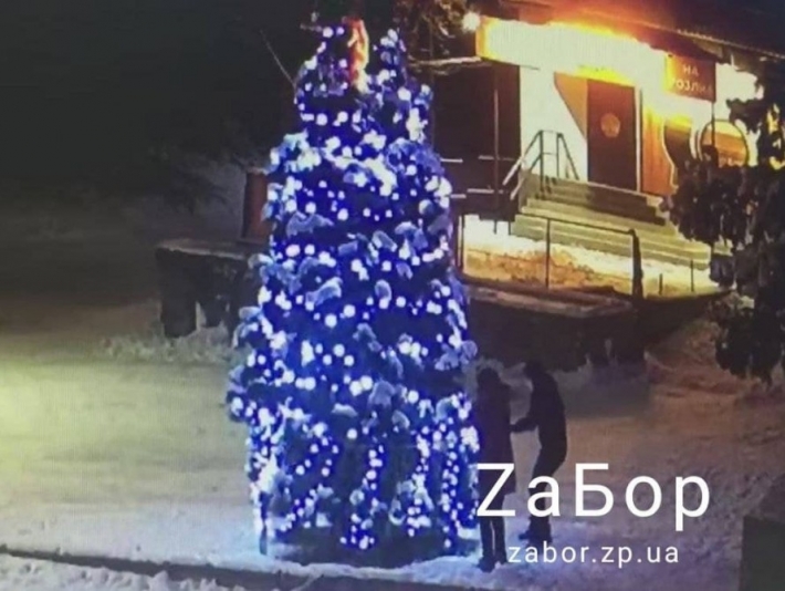 В Запорожской области разыскивают девушек, которые украли иллюминацию с центральной елки (видео)