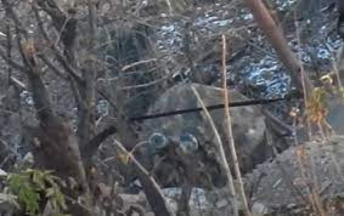 Помогал снайперам: появилось видео ликвидации на Донбассе боевика ДНР