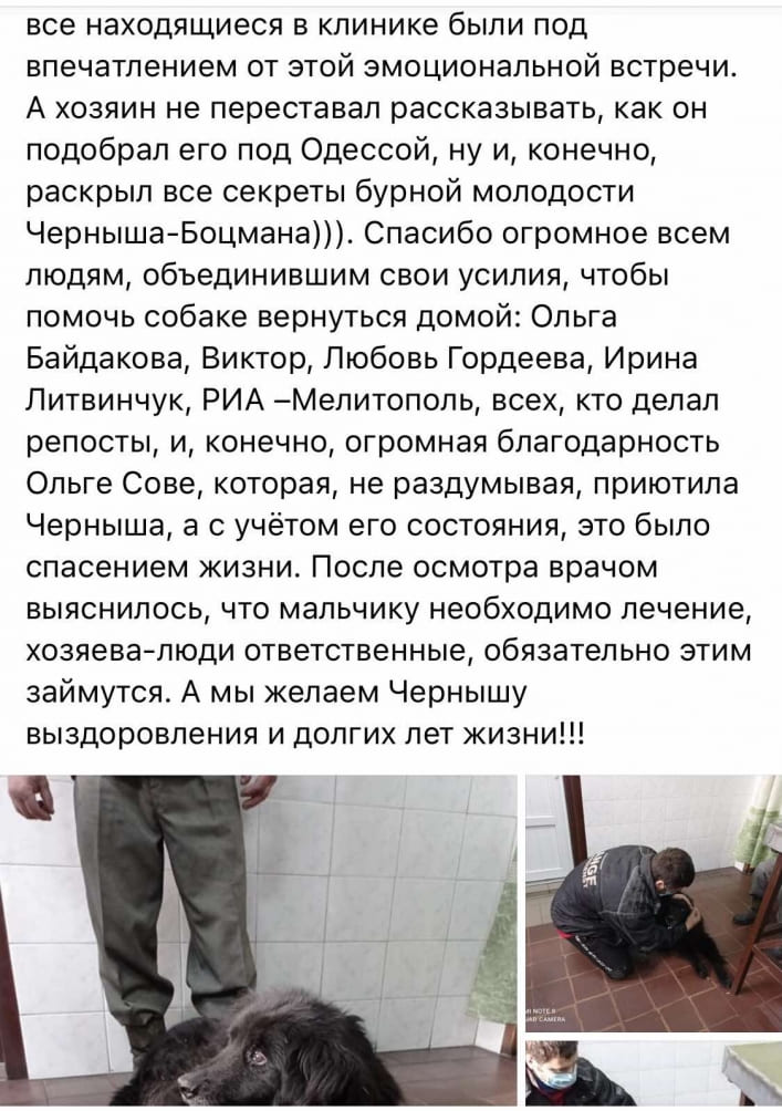 История черной собаки с больными лапами в Мелитополе закончилась хеппи-эндом, фото 2