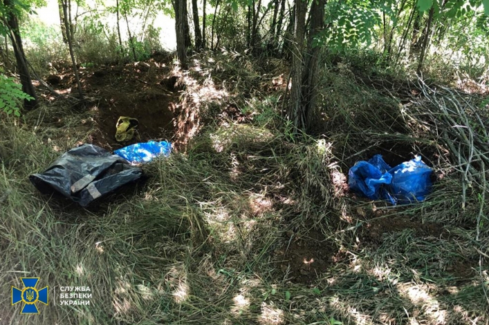 В Мелитополе в лесопарке СБУ обнаружила тайник боеприпасов (фото)
