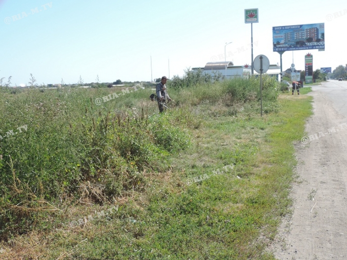 Константиновку начали очищать от сорняков и мусора (фото)