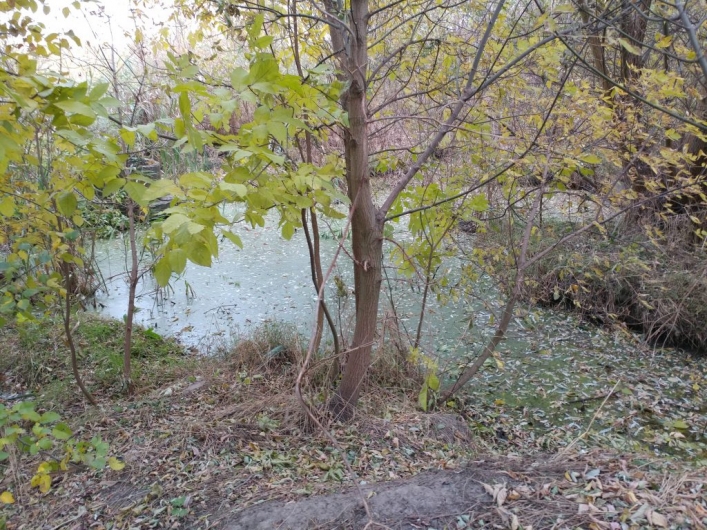 В Запорожье полностью пересохла река 4