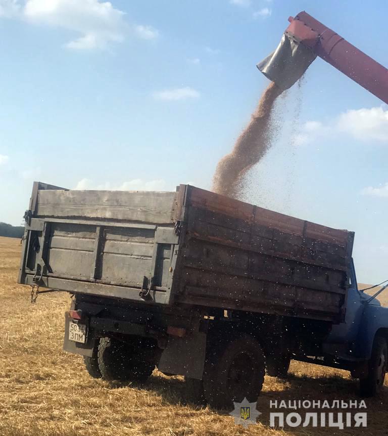 В Мелитополе украли урожая кориандра, гороха и пшена на 3 млн грн.