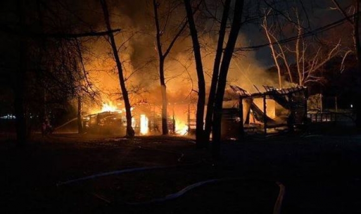 В Киеве вспыхнул мощный пожар на Трухановом острове: видео и фото