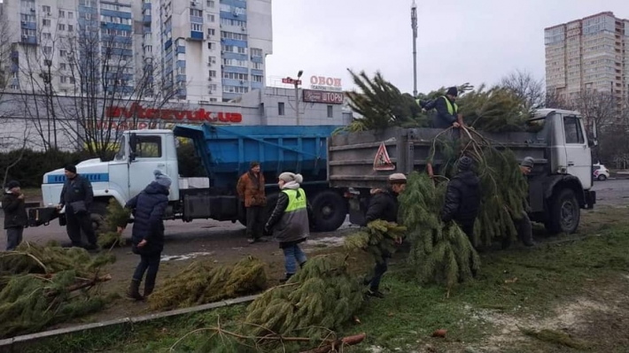 Жадность торговцев зашкаливает: фото и подробности про сотни новогодних сосен, выброшенных в Одессе