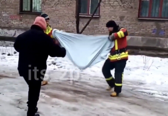 В Запорожье спасатели стряхнули кота с дерева (видео)