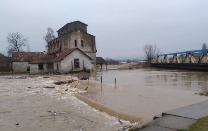На Закарпатье затопило село, а река Тиса подступает к Виноградову (видео, фото)