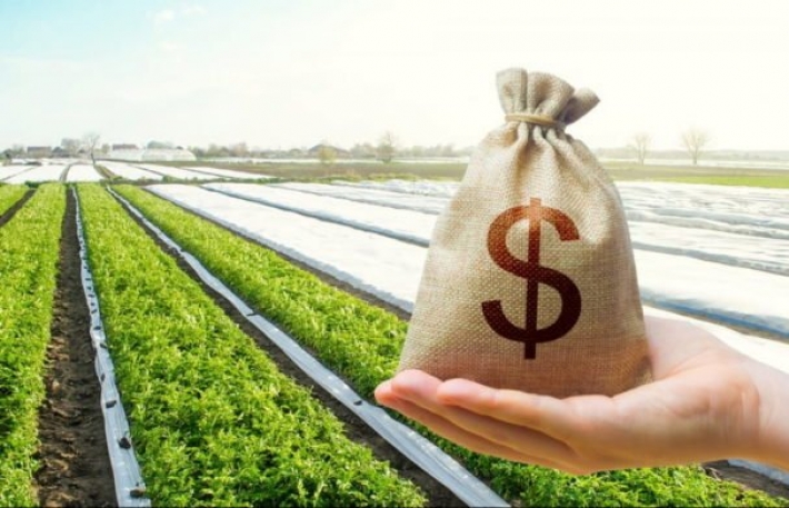 Налог на землю вырос в пять раз - жители Мелитополя заплатят даже за огороды