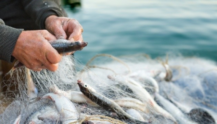 В Мелитопольском районе браконьер наловил рыбы на полмиллиона гривен (видео)