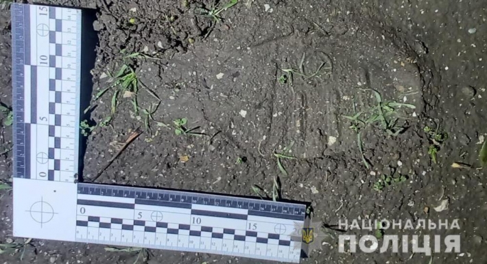 Били и угрожали ножом: в Одесской области подростки ограбили свою бывшую учительницу, фото