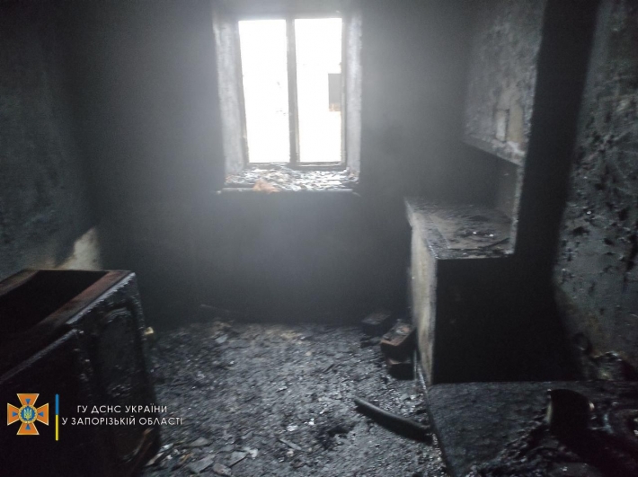 В Запорожской области во время пожара травмировался мужчина (фото)