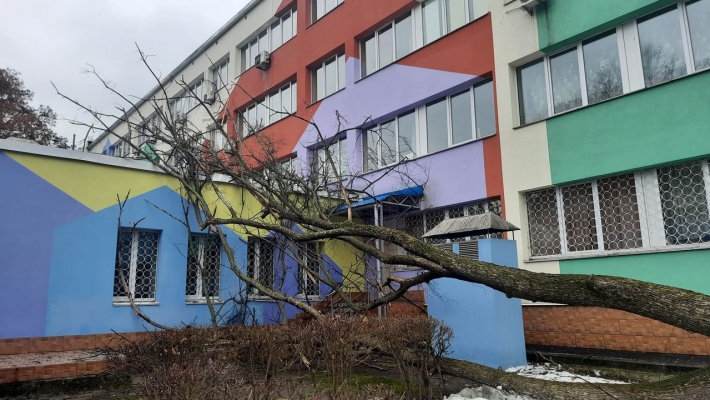Едва избежали жертв: в Киеве штормовой ветер свалил дерево на детскую поликлинику, фото