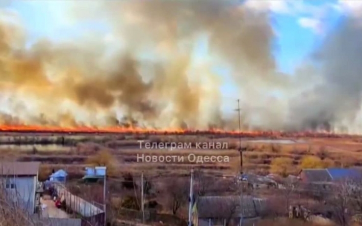 Масштабный пожар в Одесской области: горит территория национального парка (видео)