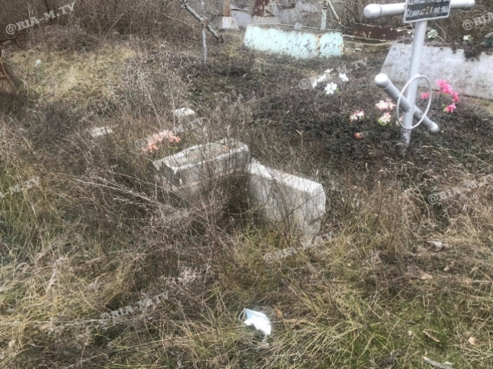 В Мелитополе от нашествия вандалов в очередной раз пострадало старое кладбище (фото)