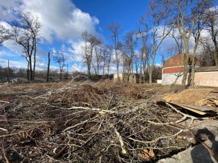 В Мелитополе готовят площадку под урбан-парк – сколько деревьев принесут в жертву  (фото, видео)