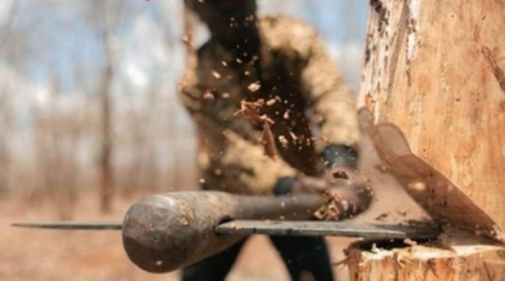 В Запорожской области черные лесорубы "разводят" покупателей